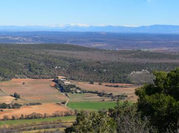 Randonnée Marche Esparron - Montagne d’Artigues , traversée intégrale par la crête - Photo