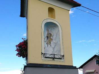 Tocht Te voet Sankt Nikolai im Sausal - Sankt Nikolaier Panoramaweg - Photo