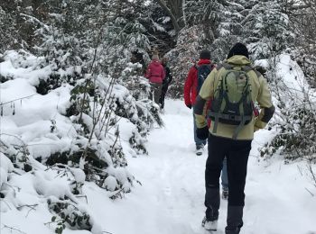 Randonnée Marche Sainte-Paule - Col du chêne  (8,6km - D. 275 m) - Photo