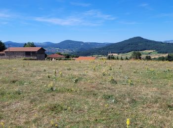 Tocht Elektrische fiets Le Puy-en-Velay - **** 140723 - Photo