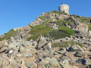 Excursión Senderismo Ajaccio - Les iles Sanguinaires. Corse - Photo