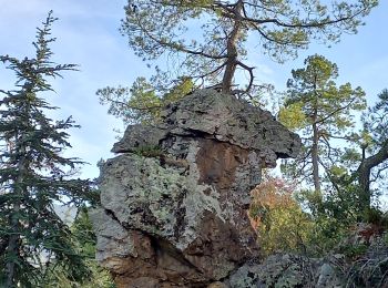 Excursión Senderismo Vernet-les-Bains - plc de l'alzina départ chemin de la laiterie Vernet les Bains  - Photo