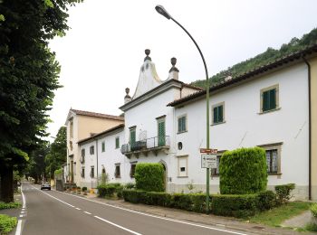 Percorso A piedi Borgo San Lorenzo - Sorgenti di Firenze Trekking – Anello 17: Dai castagni ai faggi del Mugello - Photo