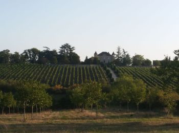 Tocht Fietstoerisme Mauroux - Mauroux - Photo