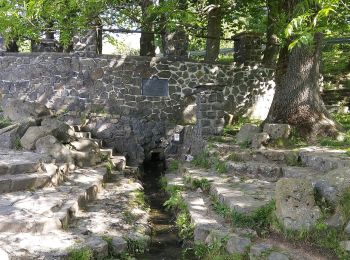 Tour Zu Fuß Gersfeld - Rhön-Rundweg 1 Gersfeld - Photo