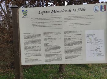 Trail Walking Pulversheim - Pulversheim - Photo