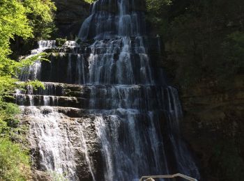 Tour Wandern Le Frasnois - Cascades du Hérisson - Photo