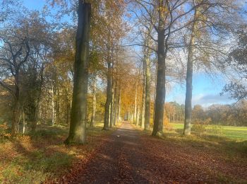 Trail Walking Turnhout - 67.019 Vosselaar - Vossenpad - Photo