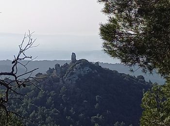 Percorso Marcia Gigondas - Gigondas Dentelles Sarasines Grande Montagne  - Photo