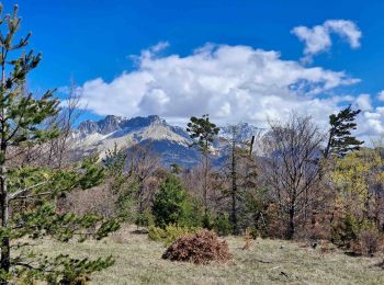 Excursión Senderismo Veynes - Champérus-Oriol - Photo