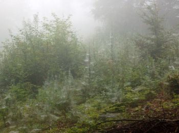 Randonnée A pied Špindlerův Mlýn - Podgórzyn Dolny - Czarna Przełęcz - Photo