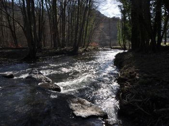 Tocht Stappen Yvoir - Le long du Bocq de Bauche à Chansin - Photo