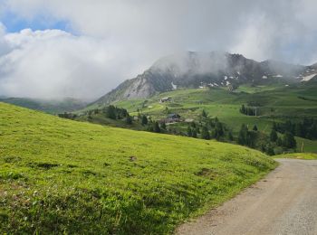 Tour Wandern La Plagne-Tarentaise - Belle Plagne, Dou du Praz, Plagne Centre  - Photo