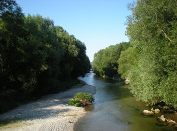 Tour Zu Fuß Lanzenkirchen - LA1 Frohsdorfer Weg (Lanzenkirchen - Rosalia) - Photo