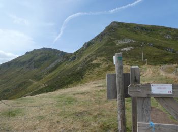 Excursión Senderismo Le Falgoux - 1 : Roche Noire - Roc d'Hozières - Roc des Ombres ; Roche Noire -- 2 : Col Pas de Peyrol - sommet du Puy Mary - boucle  - Photo