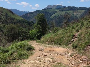 Excursión Bici de montaña Urrugne - col d'Ibardin - Photo