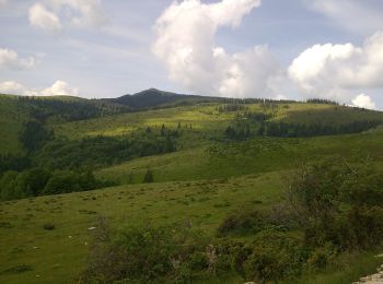 Percorso A piedi Sconosciuto - Baru - Valea Barușorului - DF Corbu - Refugiul Tulișa - Photo