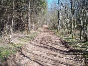 Trail Walking Naisey-les-Granges - NAISEY LES GRANGES - Photo