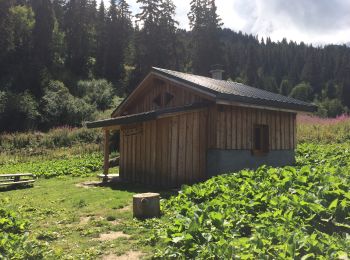 Tour Wandern Les Avanchers-Valmorel - Crève-Tête par Pierrafort, retour par Pierre Larron - Photo