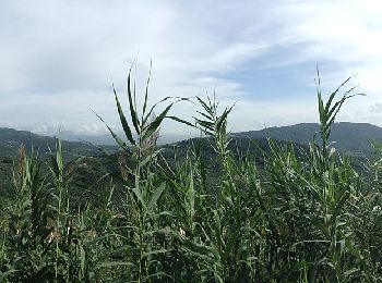 Tour Zu Fuß Pescia - Alta Via della Valdinievole - Photo