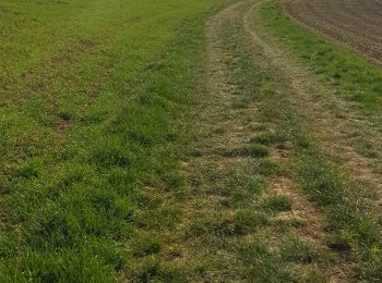 Randonnée Marche Tronchoy - ferme de l'herbu - Photo