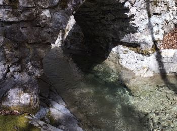 Randonnée Marche Apremont - Mont Joigny, pte de la Georgat, la Lentille, le GD Carroz - Photo