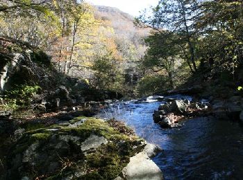 Tour Pferd Les Salces - pour rejoindre les Gites de Plagnes - Photo