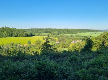 Tocht Mountainbike Saint-Gobain - Parcours Errancourt - Photo