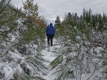 Tocht Stappen La Montagne - 23/11/24 - Photo