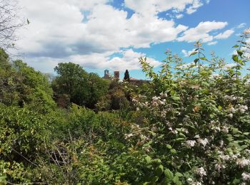 Tour Wandern Ferrières-les-Verreries - Ferrières- Mas Baumes- Gournies  - Photo