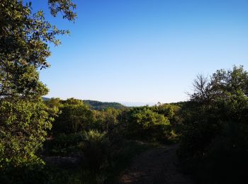 Tour Nordic Walking Saint-Ambroix - 28.05.20 piste  - Photo