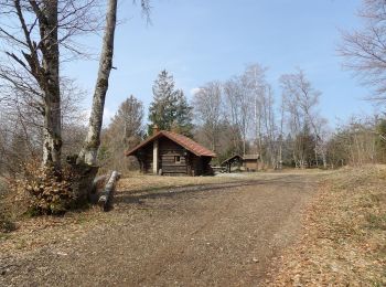 Randonnée Marche Wegscheid - Wegscheid-Stahlberg - Photo