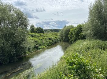 Randonnée Marche Drogenbos - Drogenbos Beersel 8,4 km - Photo