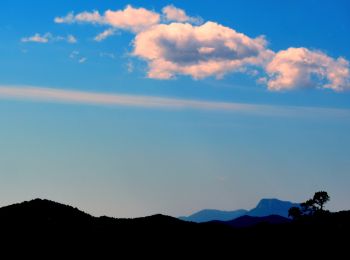 Tocht Stappen Bormes-les-Mimosas - Les vallons de Valcros - Photo