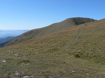 Randonnée A pied Avrig - Cabana Bârcaciu - L. Avrig - Photo