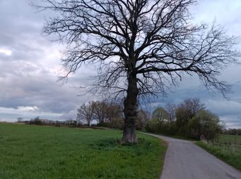 Percorso Marcia Arlon - Guirsch Arlon - Photo