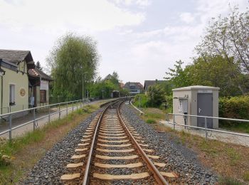 Randonnée A pied Ottendorf-Okrilla - Blauer Strich 