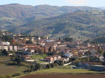 Excursión A pie Gubbio - Via di Francesco - Tappa 9 Eremo di San Pietro in Vigneto-Valfabbrica - Photo