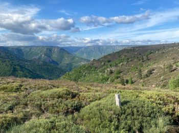 Tour Wandern Pied-de-Borne - Le tour du chassezac - Photo