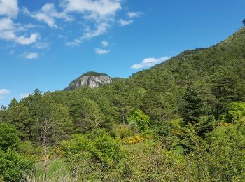 Tour Nordic Walking Saint-Étienne-de-Gourgas - Larcho Parlatges 5 mai 2031 - Photo