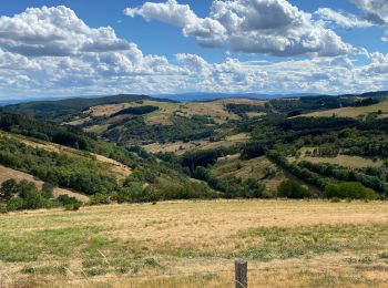 Excursión Bici de montaña Mably - Les Grands Murcins par Renaison - Photo