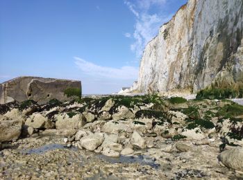 Tour Wandern Ault - Sommes 21 : falaises Ault - Mets-les-Bains - Photo