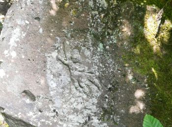 Randonnée Marche Mollkirch - le sentier des demoiselles de pierre - Photo