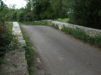 Excursión A pie South Somerset - Macmillan Way West - Photo