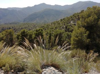 Randonnée Marche Los Guájares - Au dessus de Gujar Alto - Photo