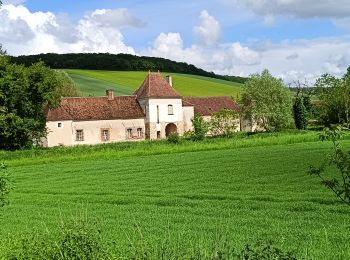 Trail Walking Bucey-en-Othe - Au dessus de BUCEY EN OTHE  - Photo