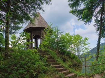 Tocht Te voet Bad Rippoldsau-Schapbach - Bad Rippoldsau - Burgbachhöhe (Mittelweg) - Photo