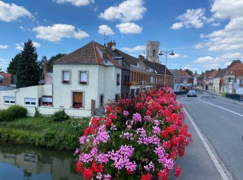 Percorso Marcia Marchiennes - Marchiennes 15,6 km - Photo