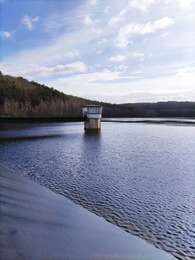 Randonnée Marche Couvin - Balade familiale autour du barrage du Ry de Rome - Photo