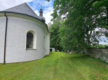 Excursión A pie Dětřichov nad Bystřicí - NS Panské louky - Photo